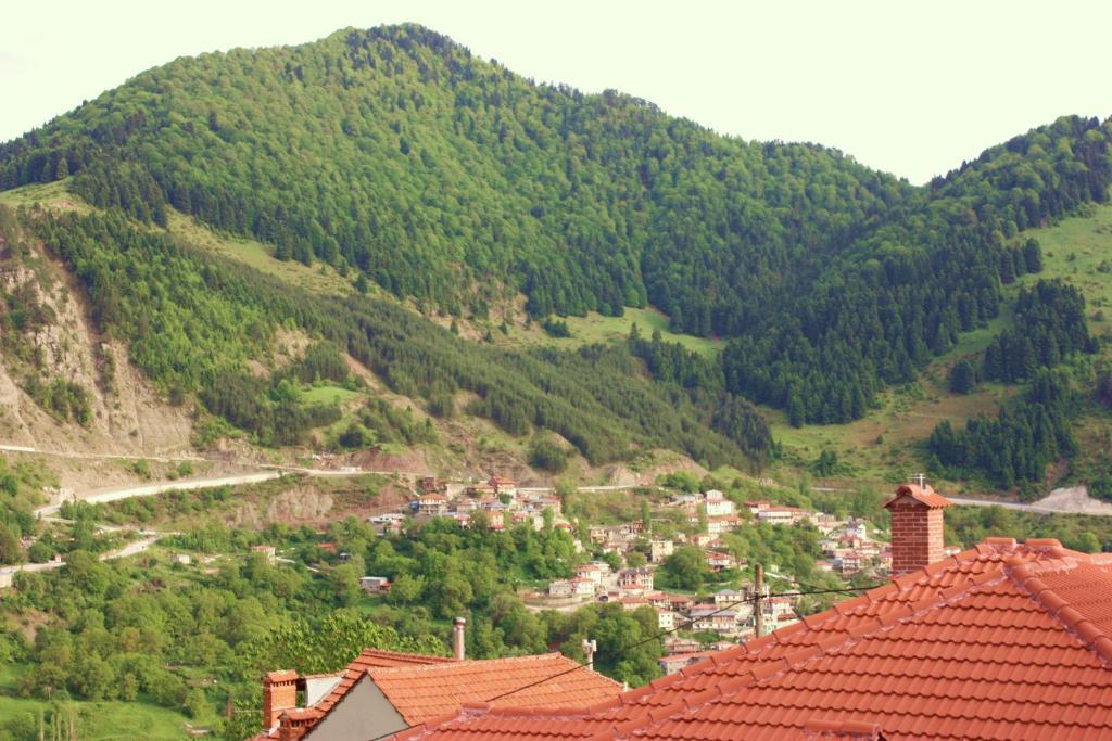 Archontiko Metsovou Luxury Boutique Hotel Room photo